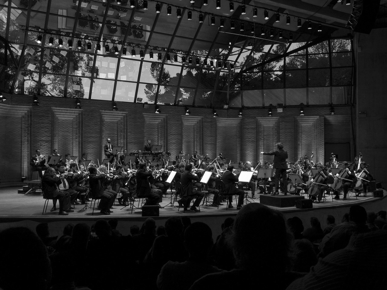 gallery/orchestra-1701842_1280